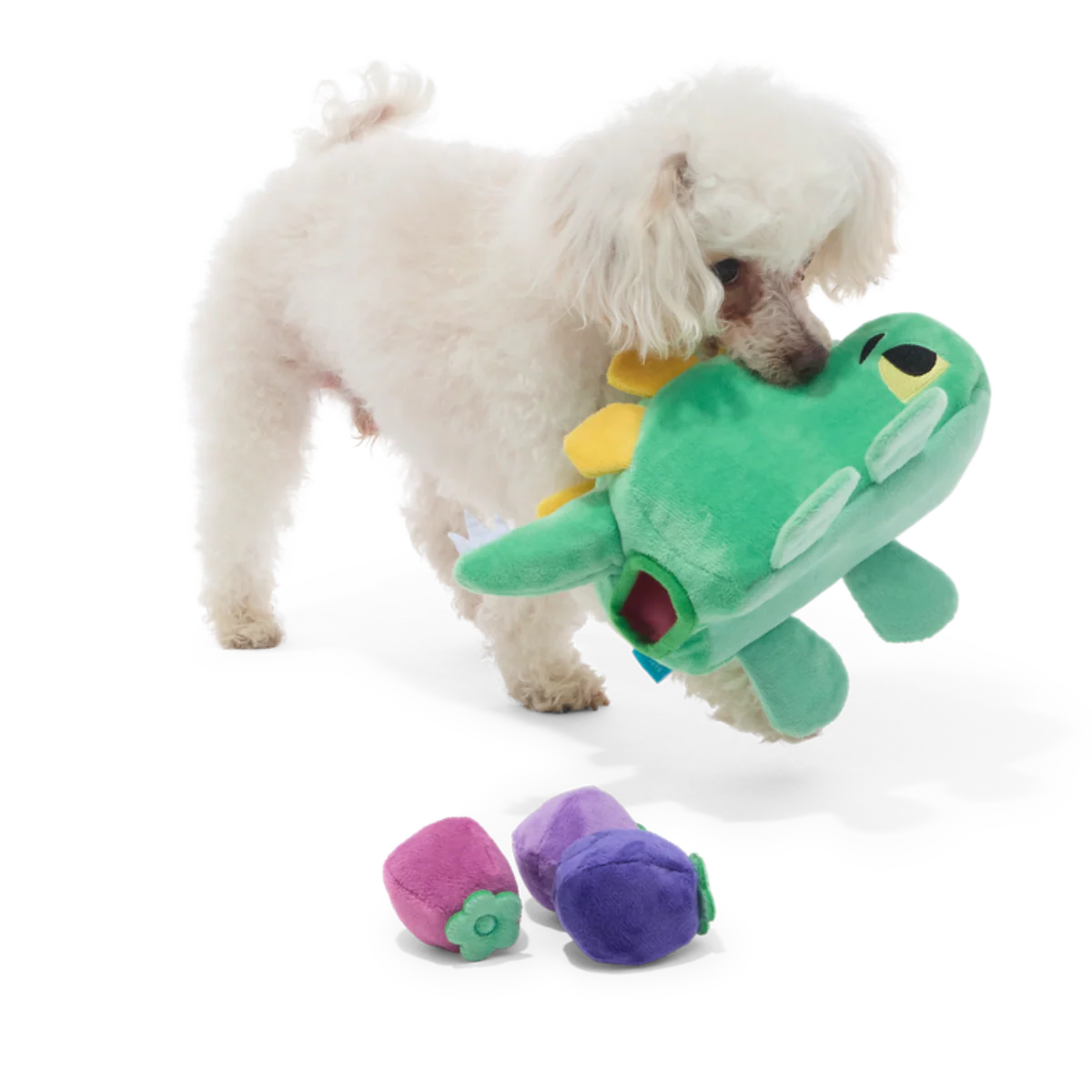Berry Hungry Bernard Plush Multi-Part + Enrichment Dog Toy