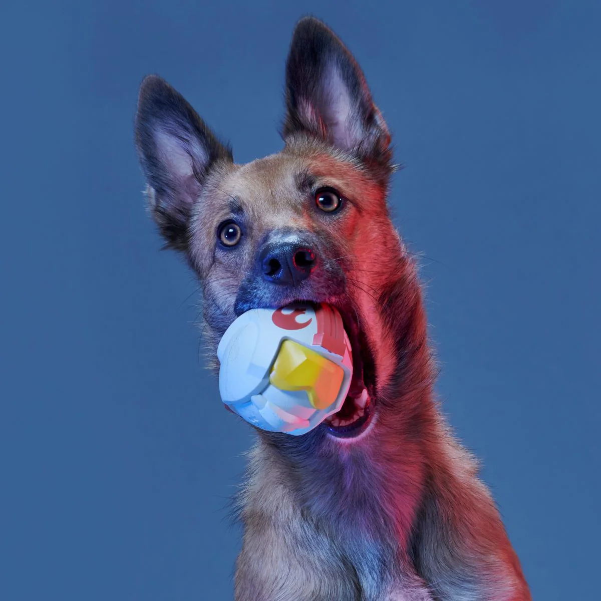 Fetch My Rebel Helmet Super Chewer Durable Fetch Dog Toy