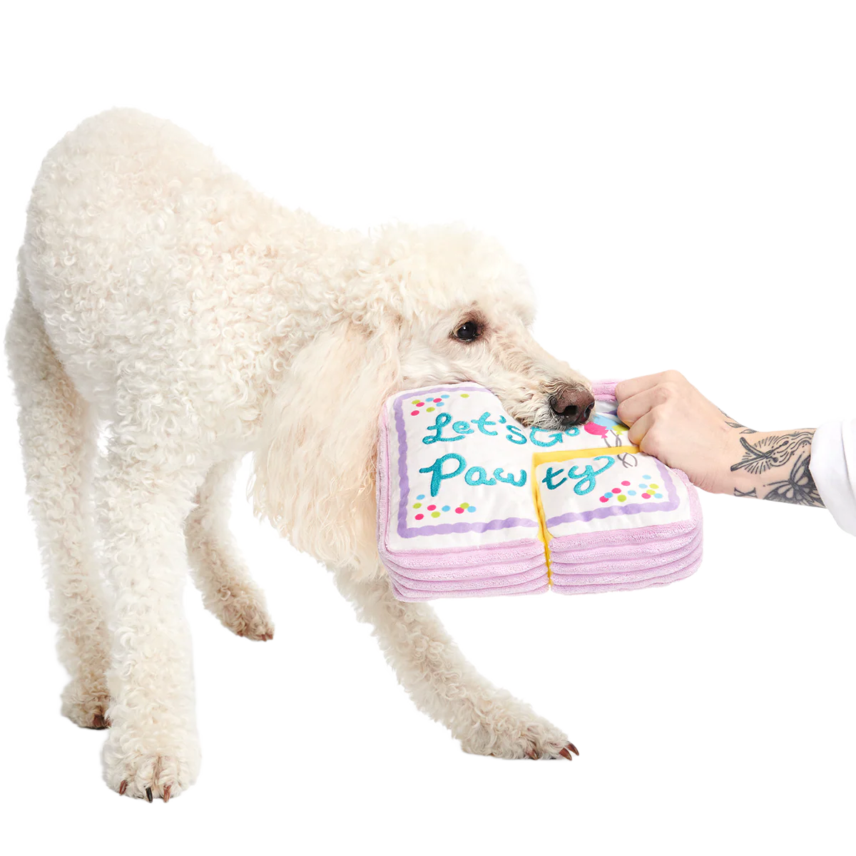 Piece Of Sheet Cake Plush Multi-Part Dog Toy