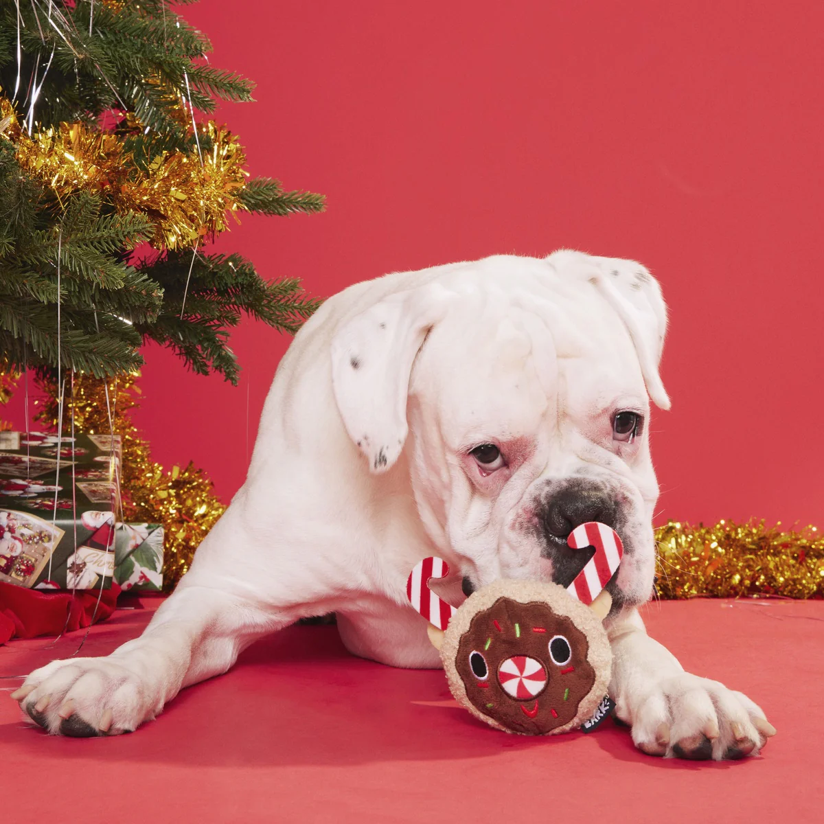 Gnasher The Puppermint Reindeer Durable Super Chewer 2-In-1 Rip And Reveal Dog Toy