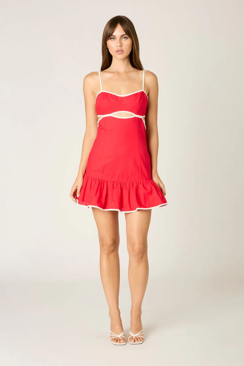 Contrast Trim Cutout Mini Dress