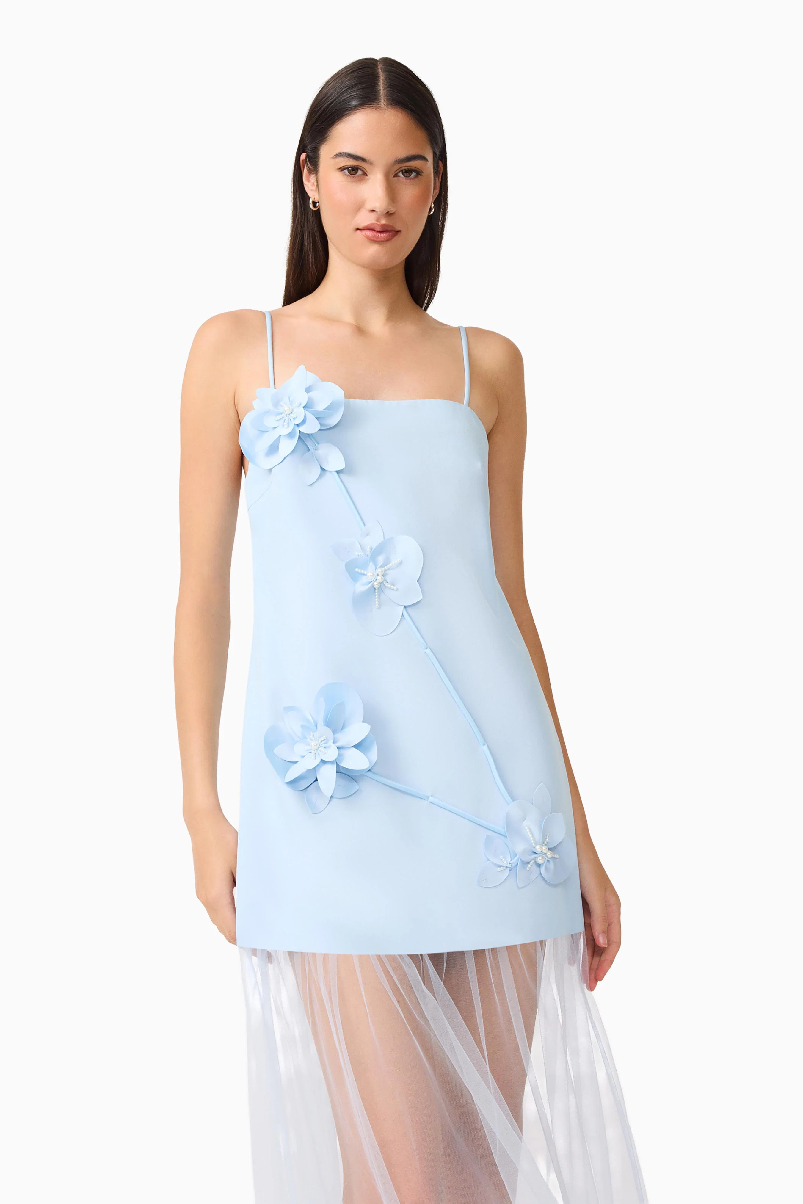 Reina Applique Gown in Sky Blue