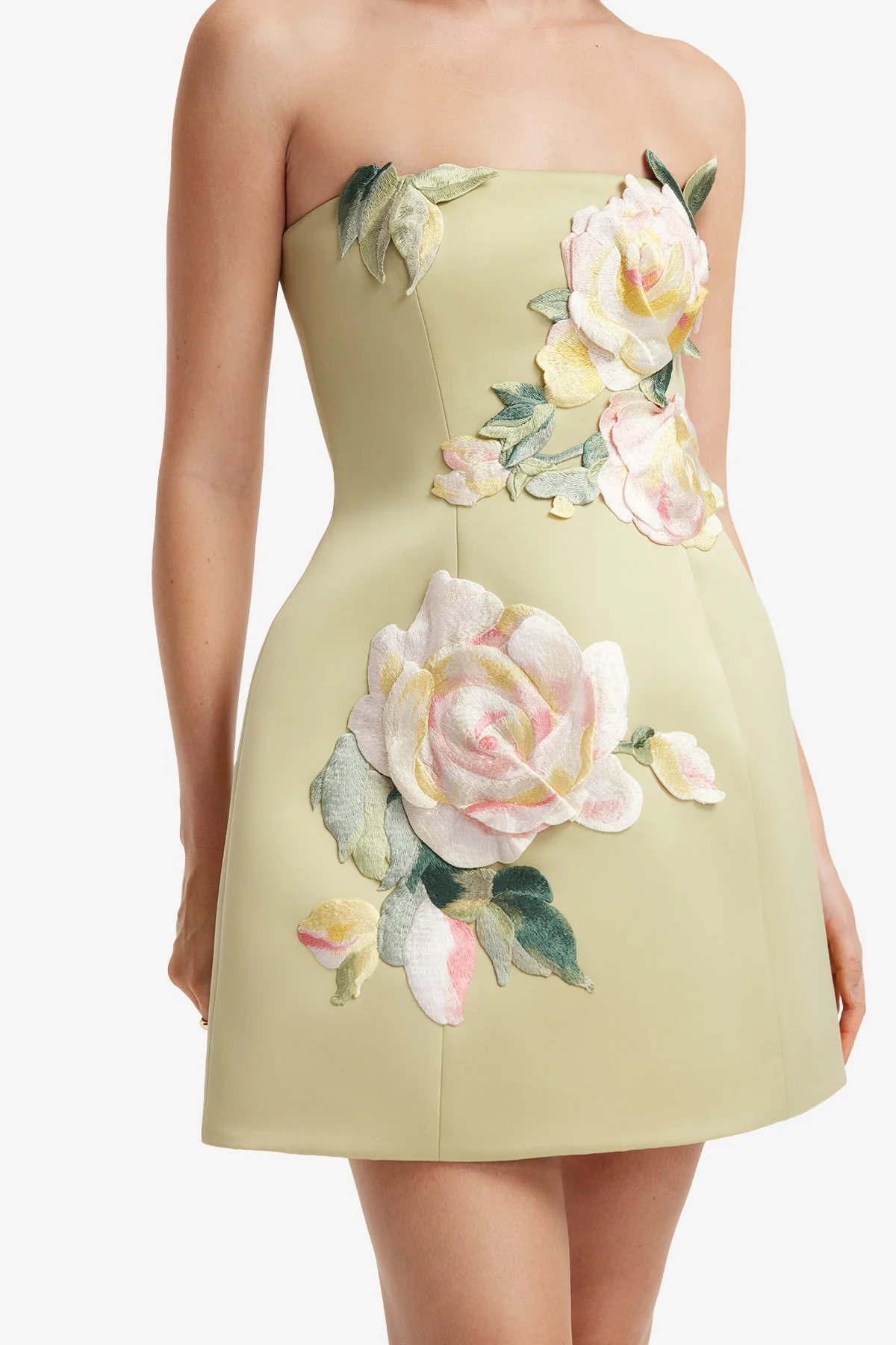 Roselle Embroidered Bustier Mini Dress - Pistachio Rose Print - luluinthesky