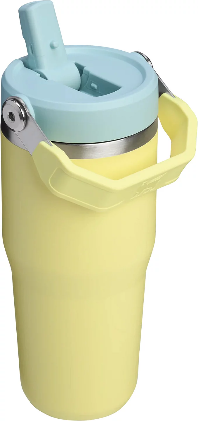 Stanley 14 oz. IceFlow 2.0 Flip Straw Tumbler - Pomelo