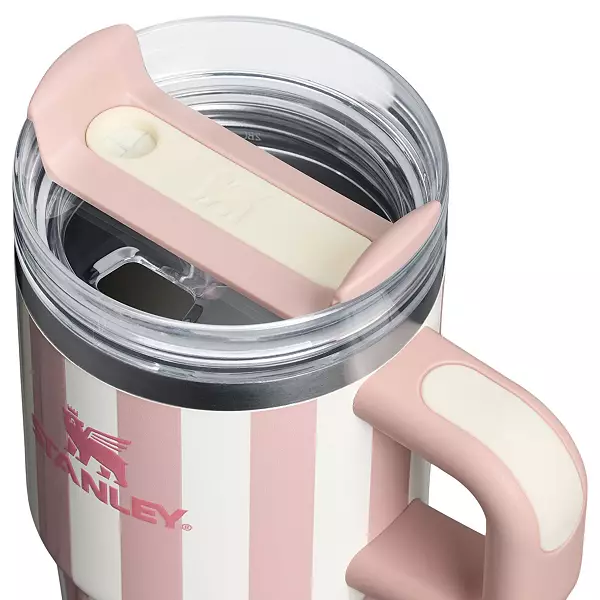 Stanley 20 Oz. Quencher H2.0 Flowstate Tumbler - Oasis Collection