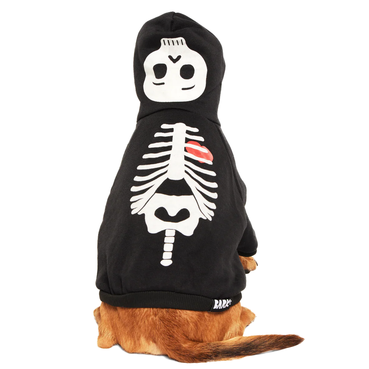 Skeleton Hoodie