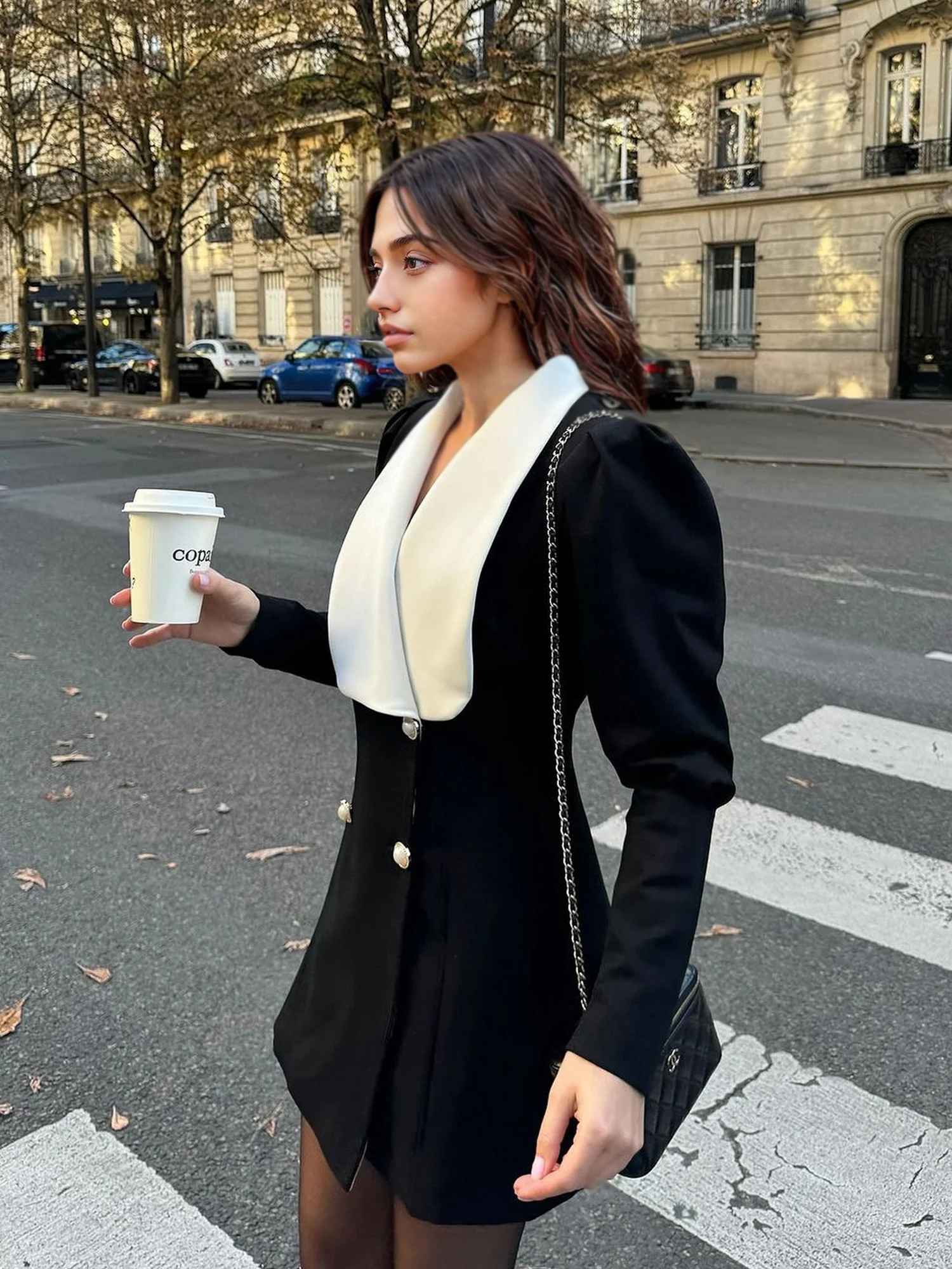 Chic Double-Breasted Button Mini Dress