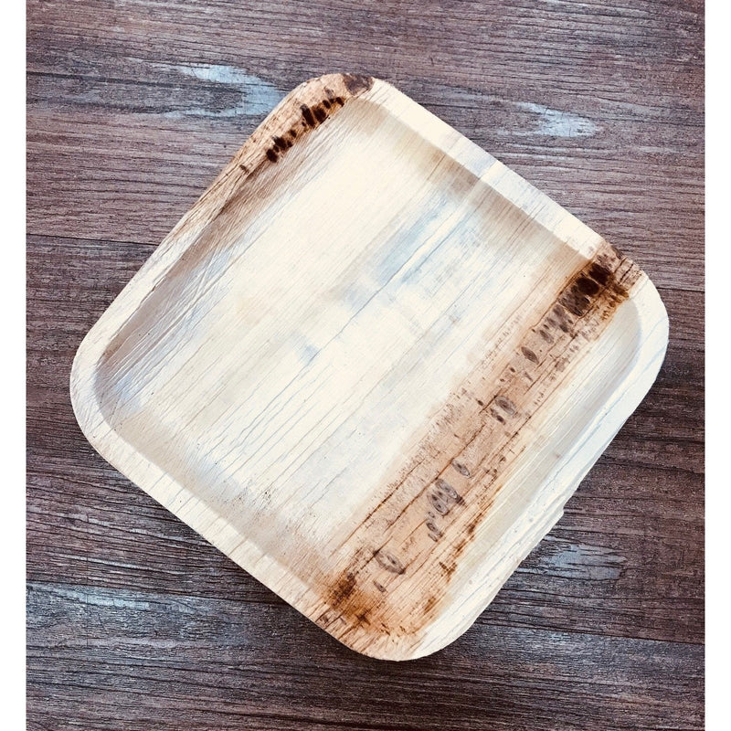 VerTerra Round Plate W Lip 6
