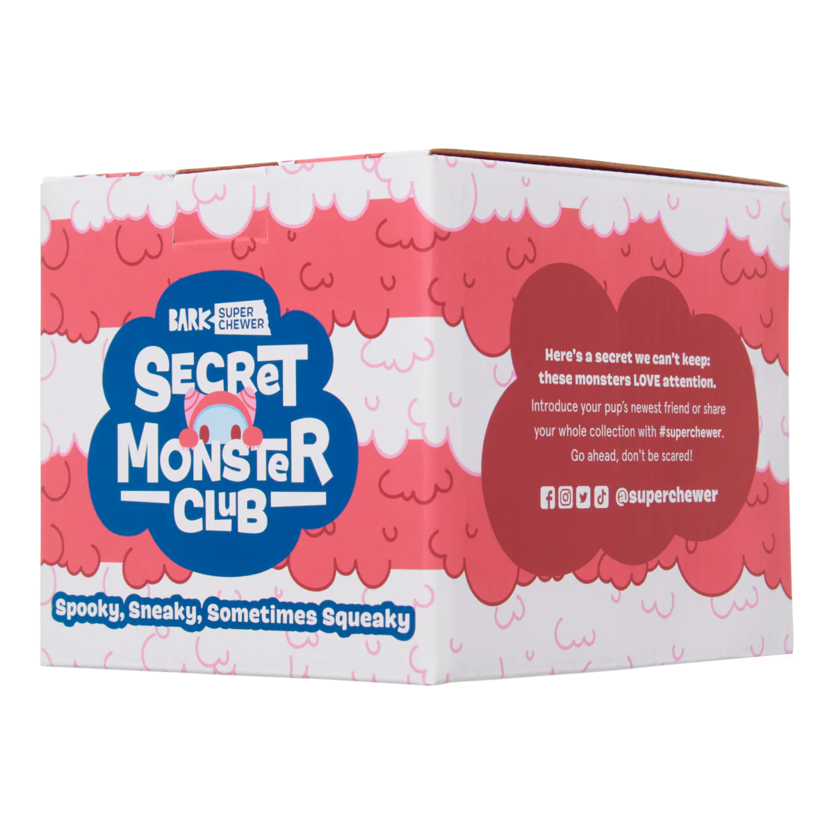 Secret Monster Club, Super Chewer Durable 2-in-1 Rip and Reveal Monthly Dog Toys