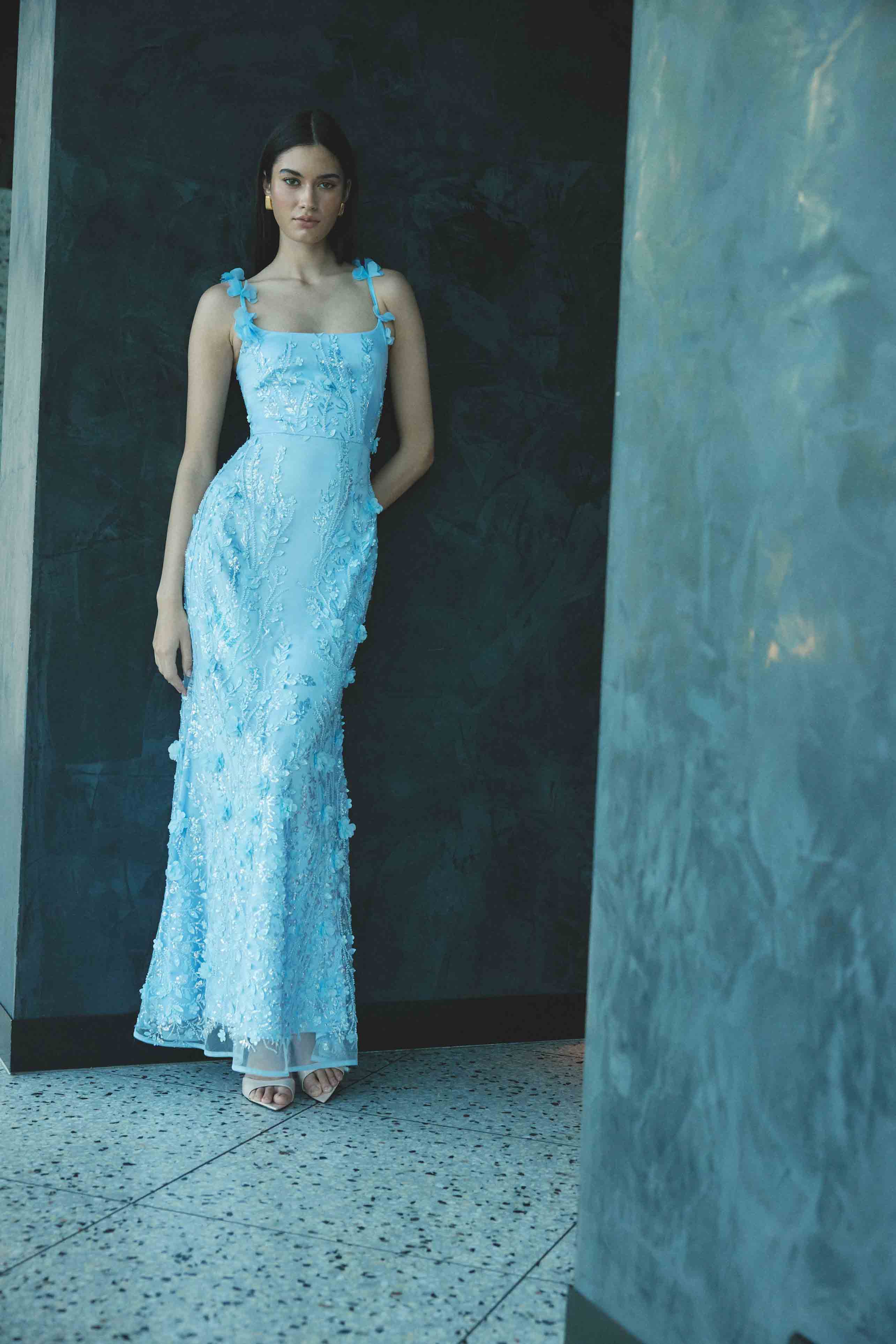 Rina Embellished Gown in Blue
