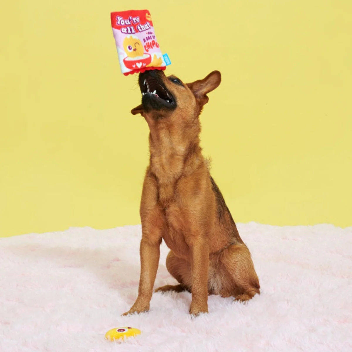 Smitten Chips Plush Enrichment + Multi-Part Dog Toy