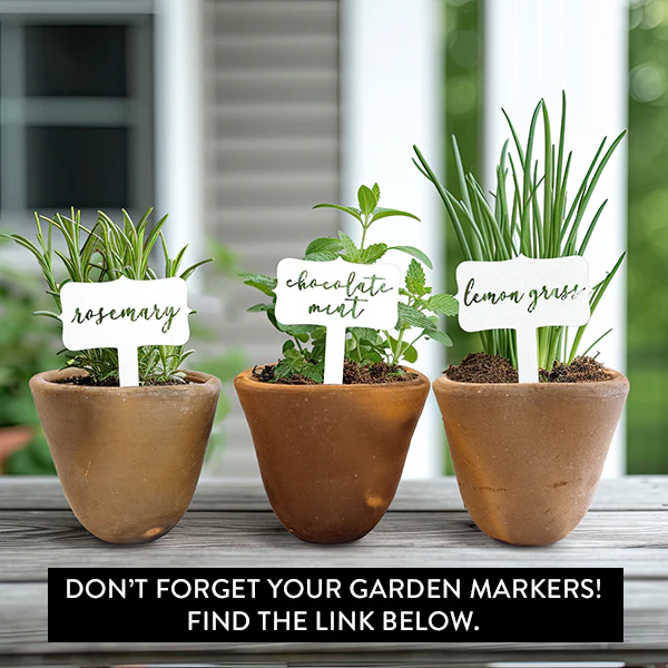 Rustic Kitchen Herb Planters, Pick Your Style