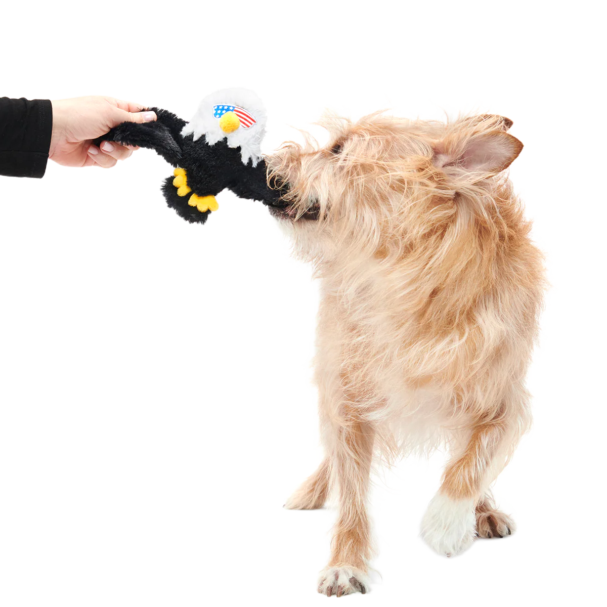 Bold Eagle Plush Tug Dog Toy