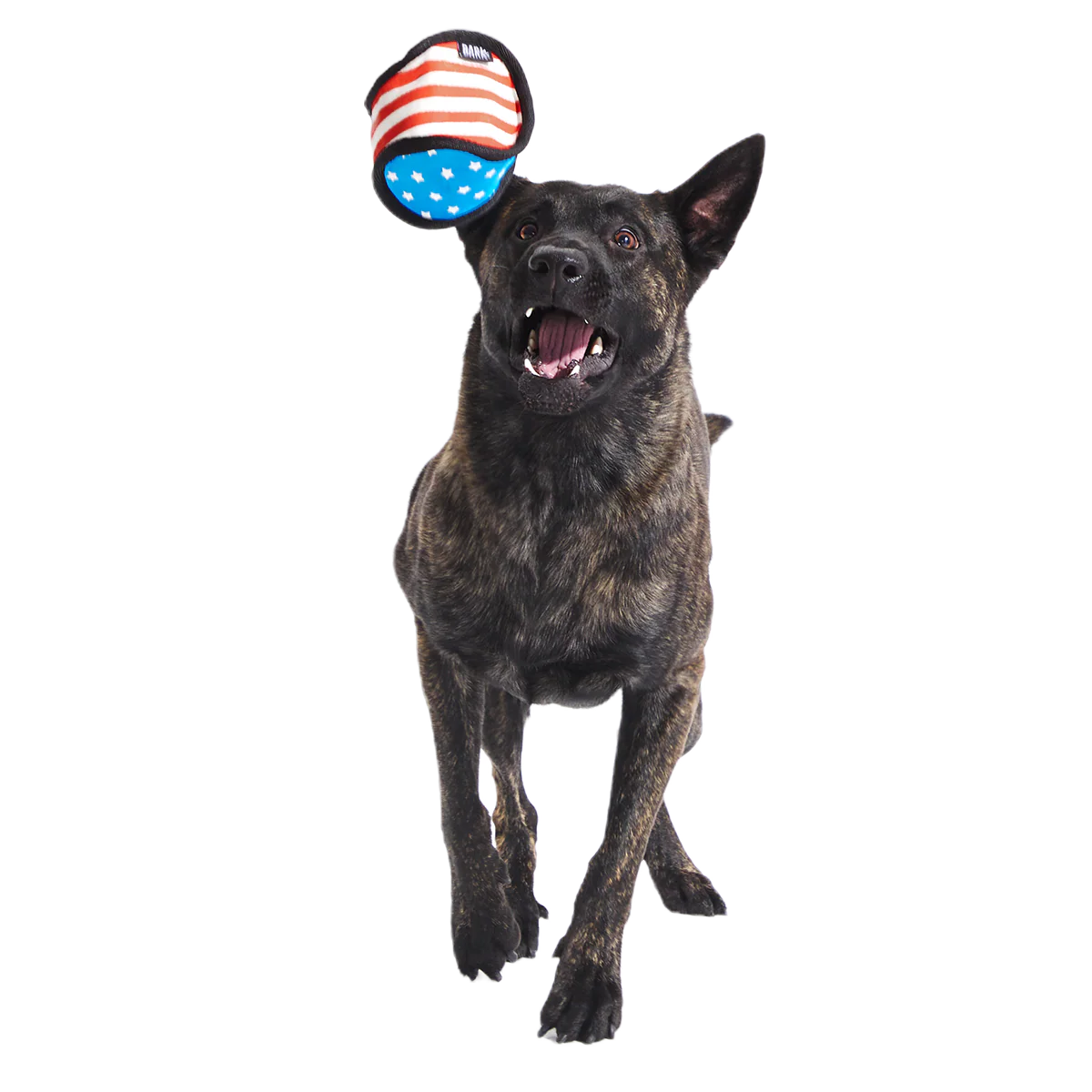 Base Brawl Super Chewer Durable 2-In-1 Fetch Dog Toy