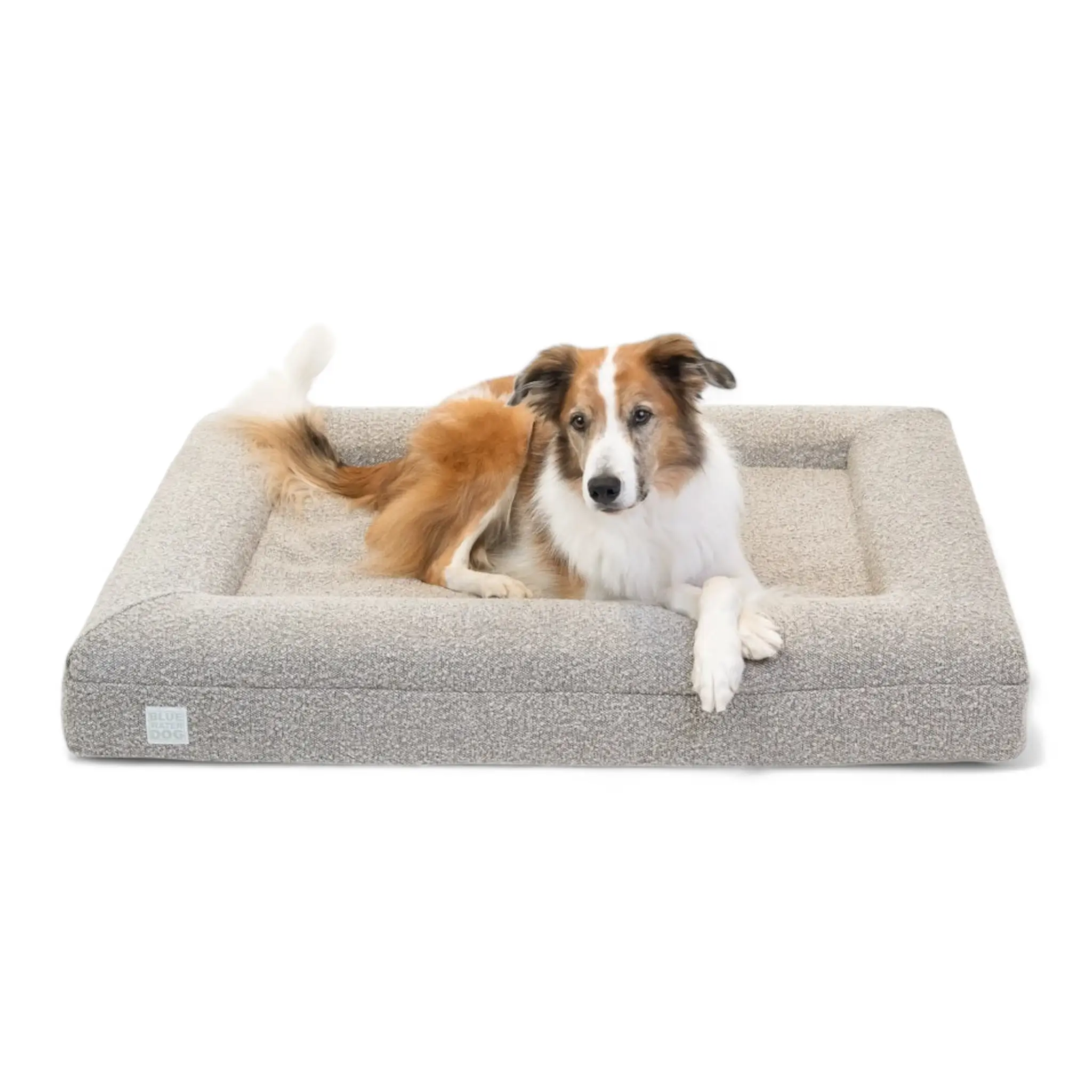 Large Bouclé Orthopedic Dog Bed (Bolster, Sand)