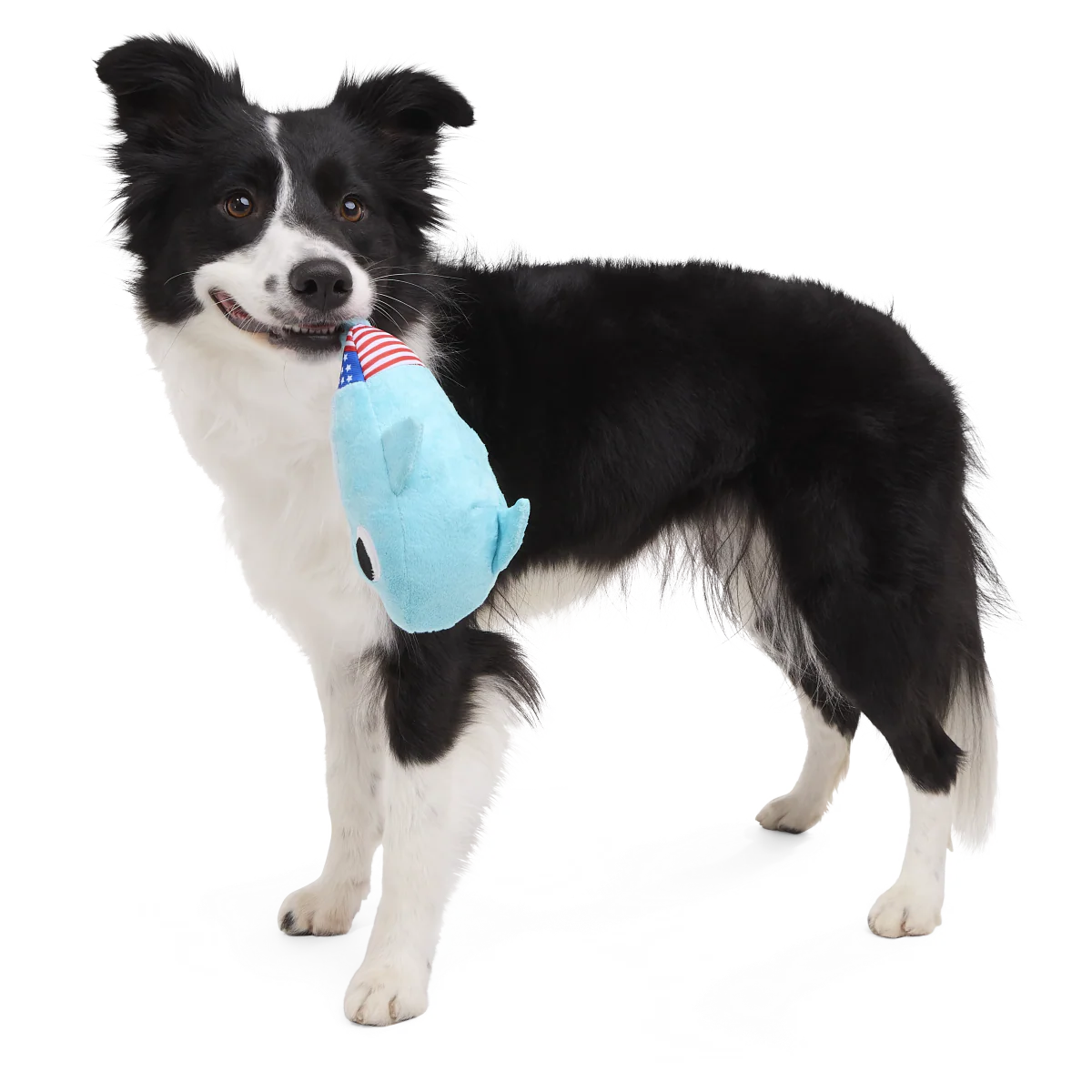 Fourth Of Jawly Jake Plush Tug Dog Toy