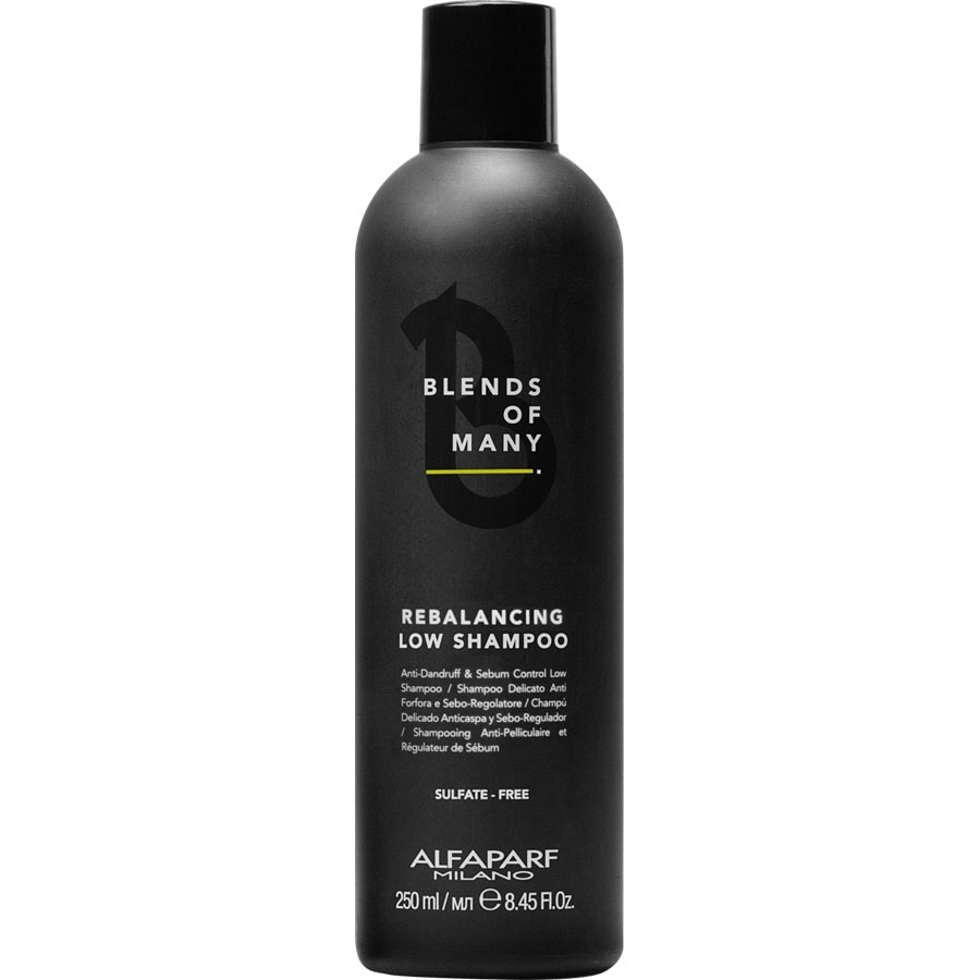 Alfaparf Milano Blends of Many Rebalancing Low Shampoo