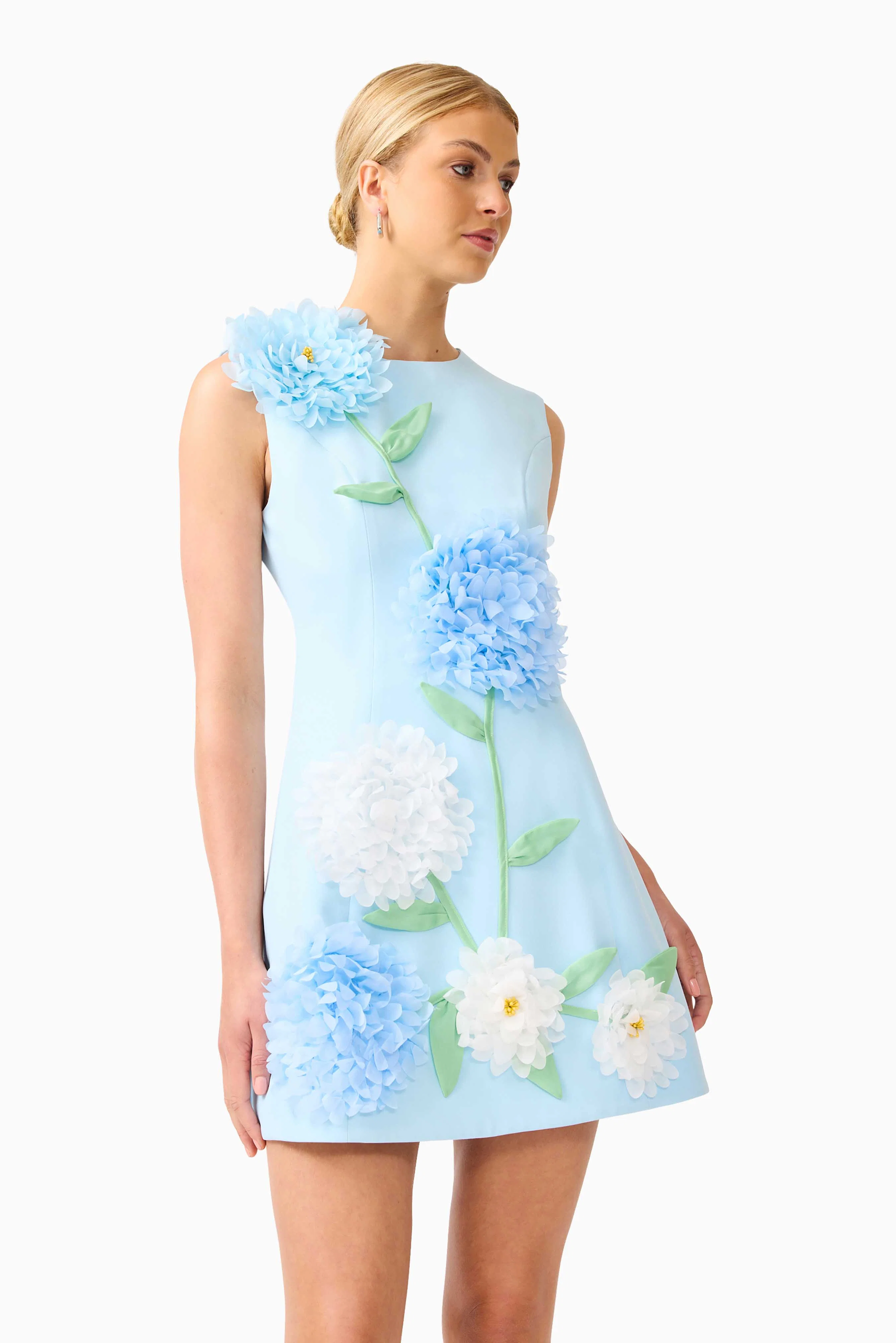 Buttercup Embroidered Mini Dress in Blue