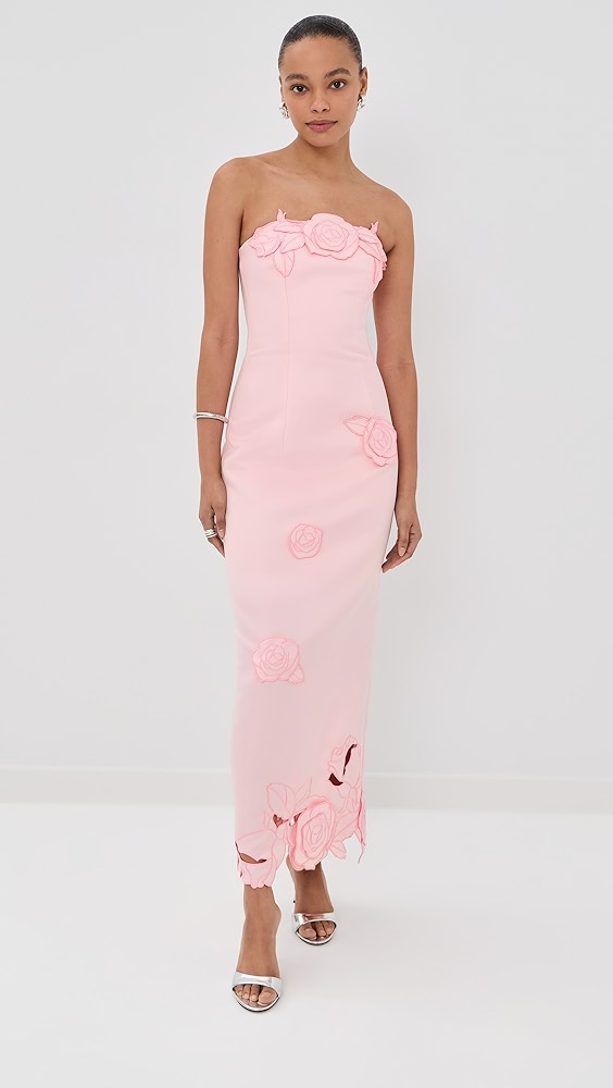 Rayna Applique Bustier Maxi Dress