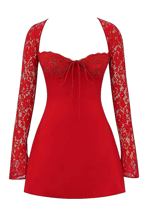 Red Rose Satin And Lace Mini Dress