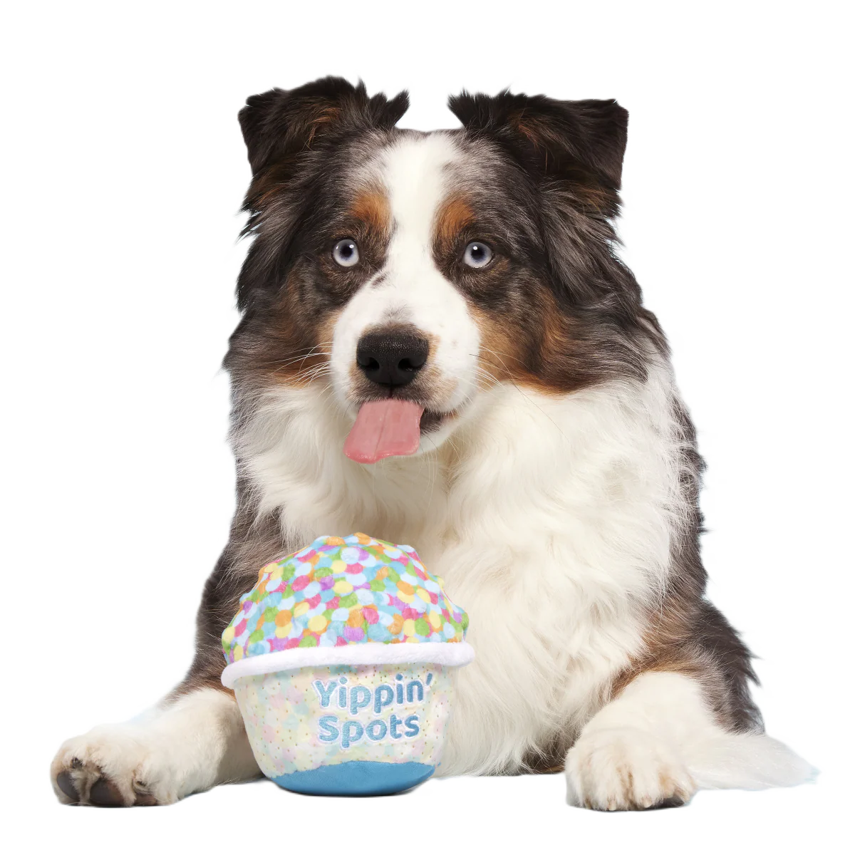 Yippin' Spots Ice Cream Plush Fetch Dog Toy