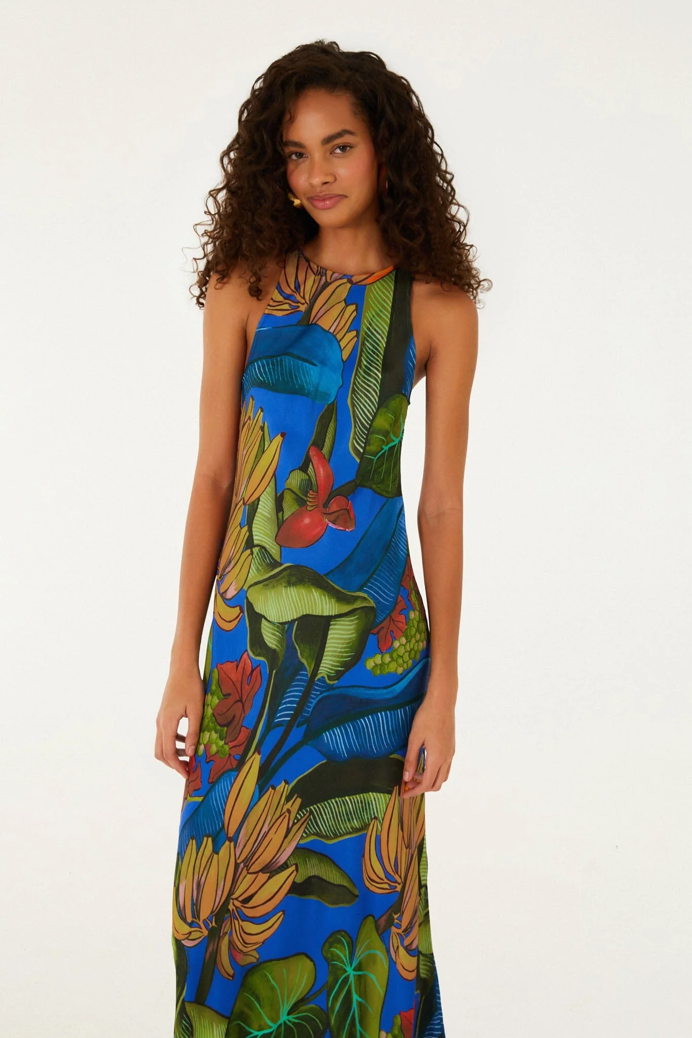 Blue Banana Grapes Sleeveless Maxi Dress