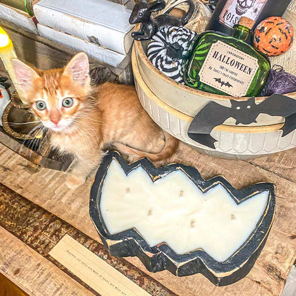 Halloween Wooden Bowl Scented Candle, Choose Your Style