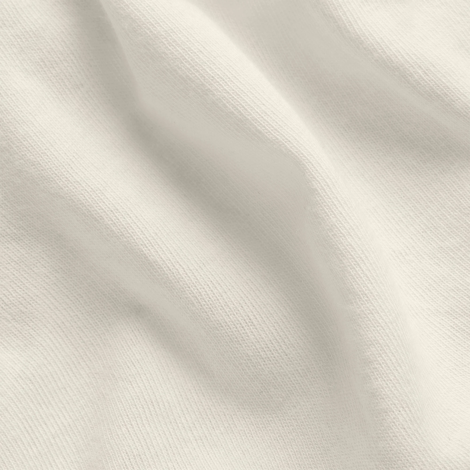 Cotton Jersey T-Shirt - Bone