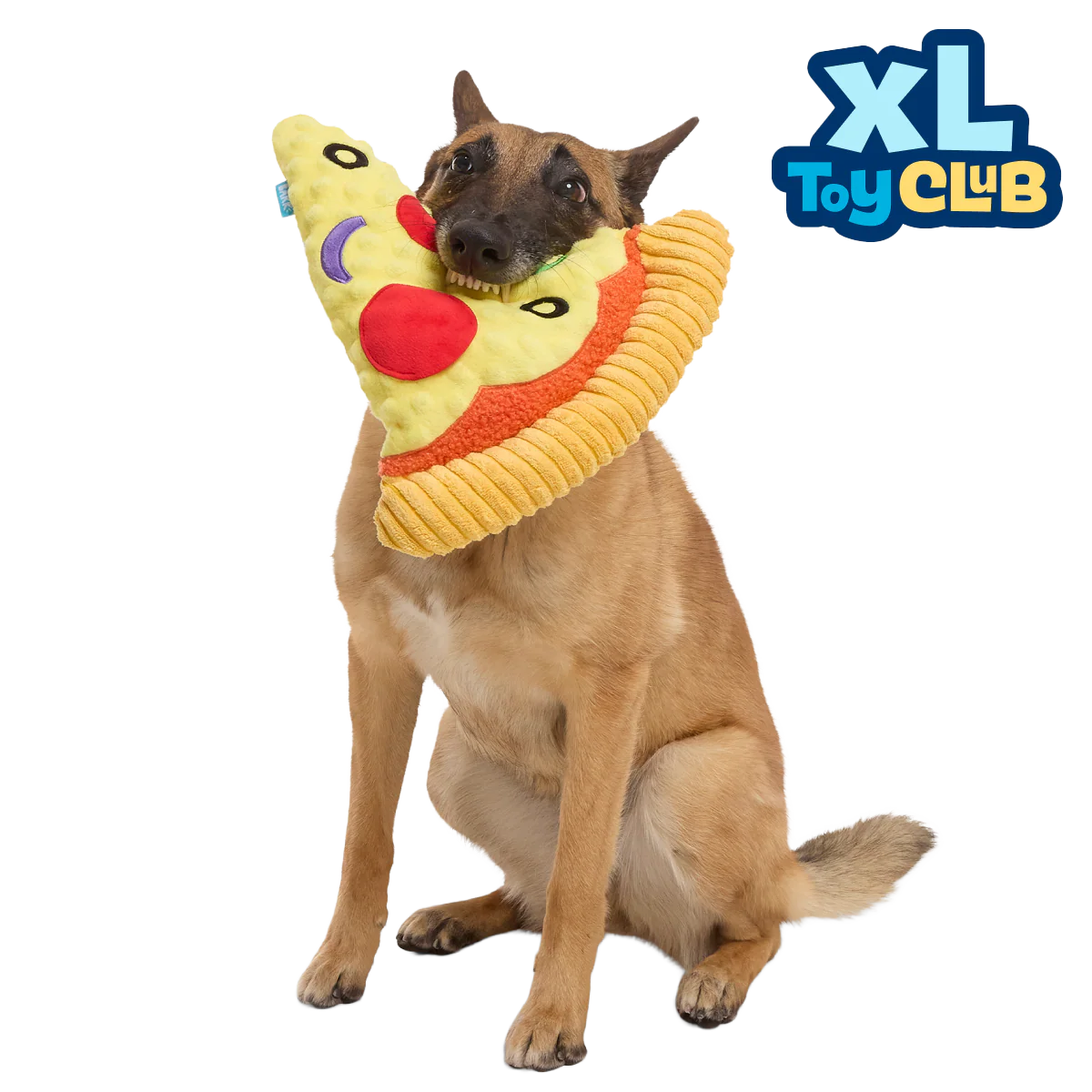 Extra-Large Toy Club, Monthly Plush XL Dog Toys