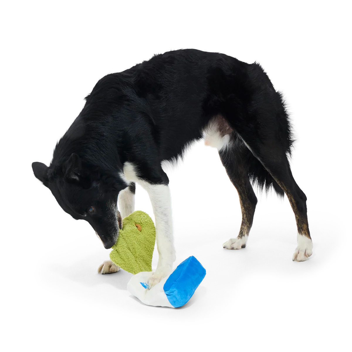 Arf Bag Plush Tug + Enrichment Dog Toy