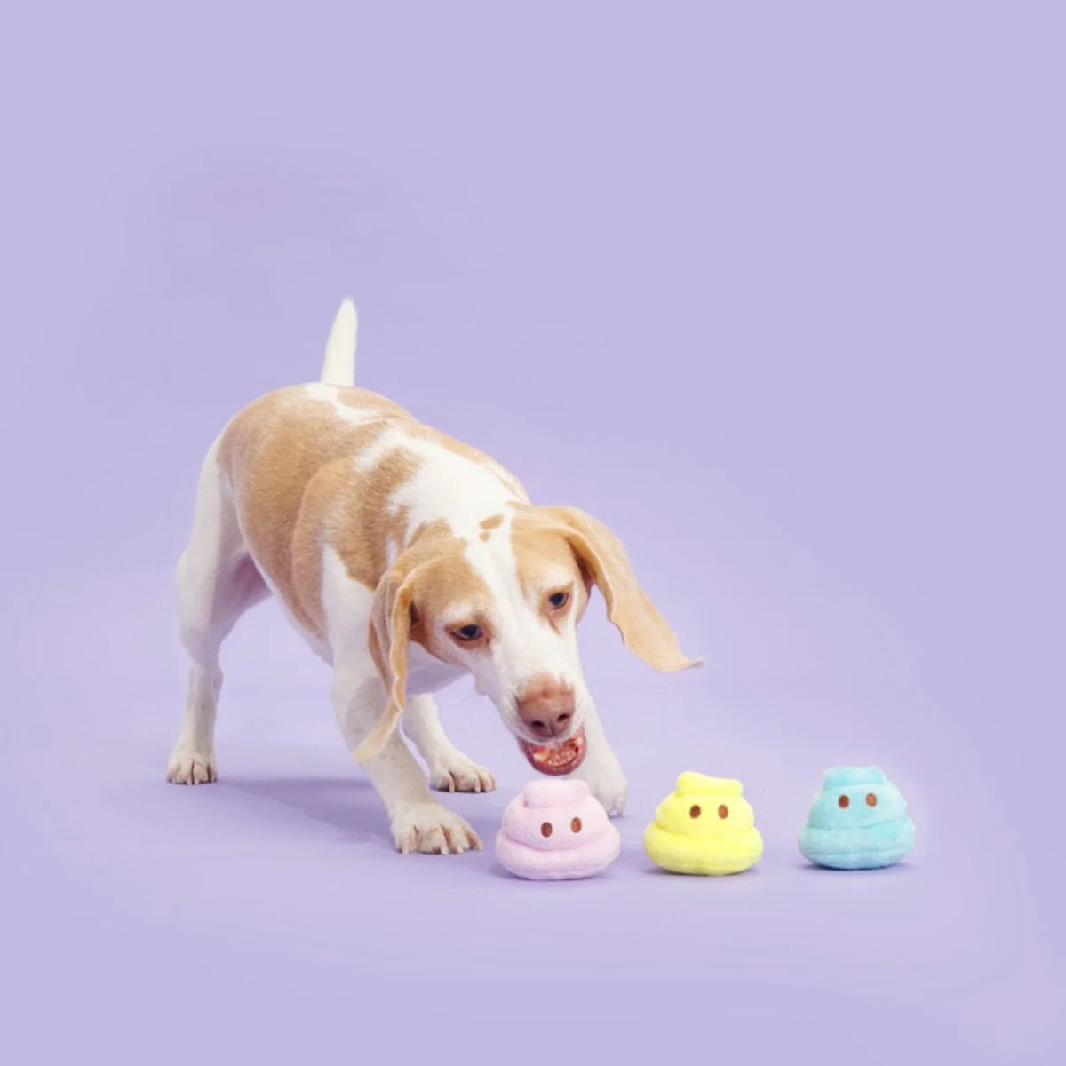 Marshmallow Poops Plush Multi-Part + Fetch Dog Toy