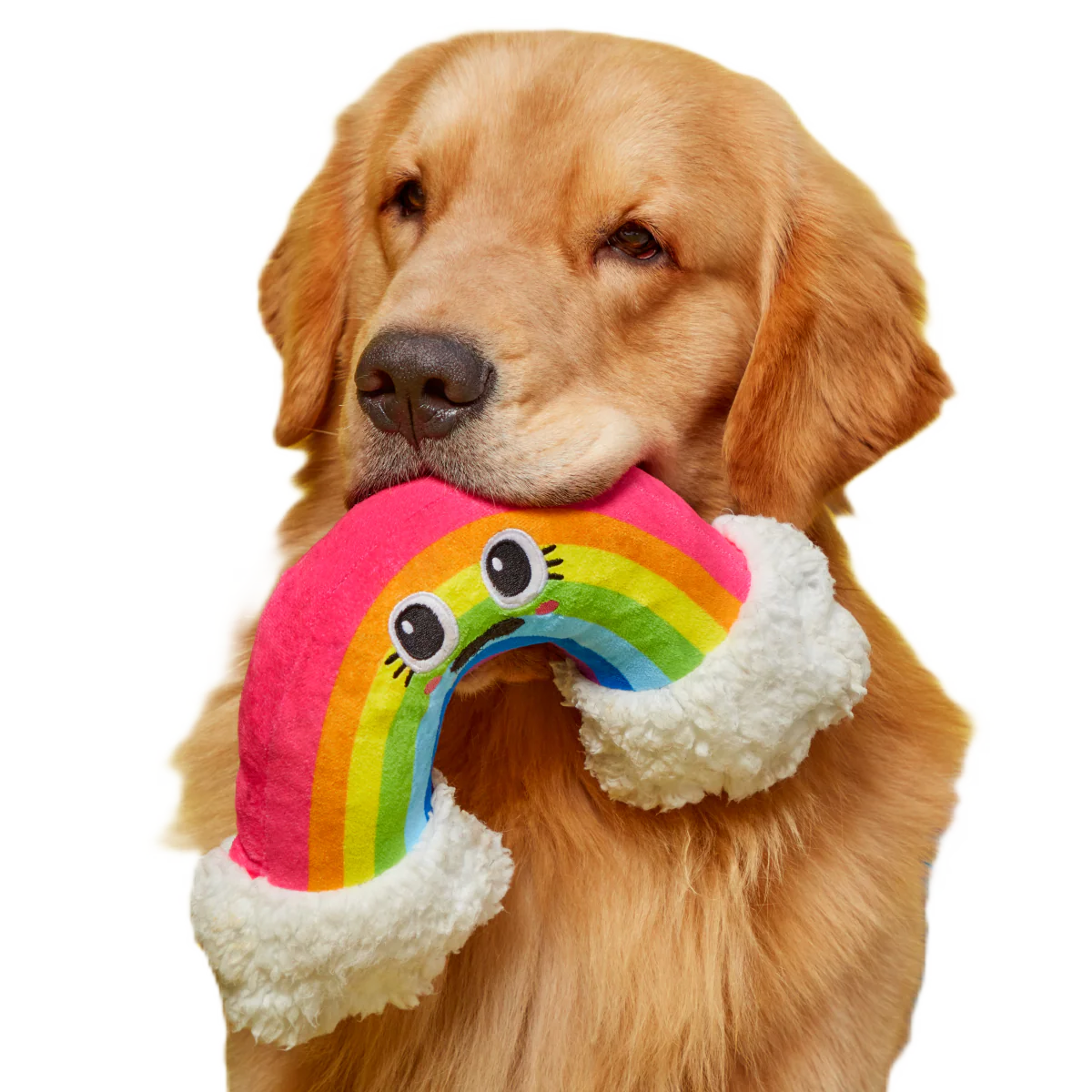 Mr. Blue Sky Plush Tug Dog Toy