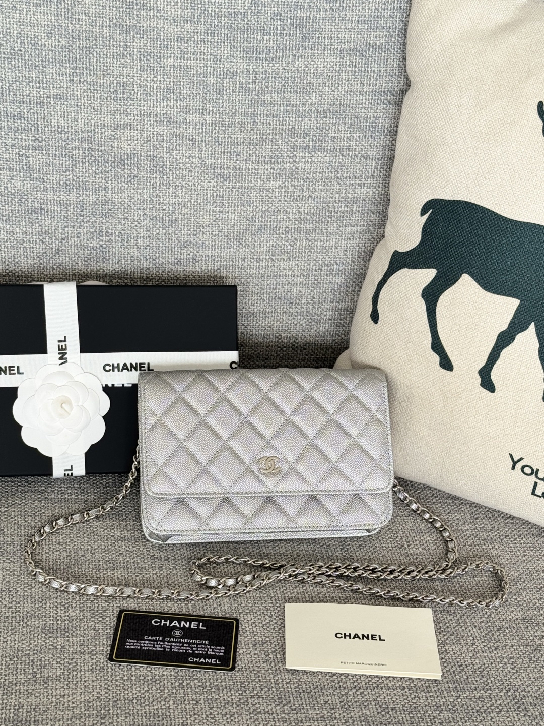 [TOP] CHANEL Woc Bag Cowhide 19x12x3cm - Silver & SHW - 711 Luxury
