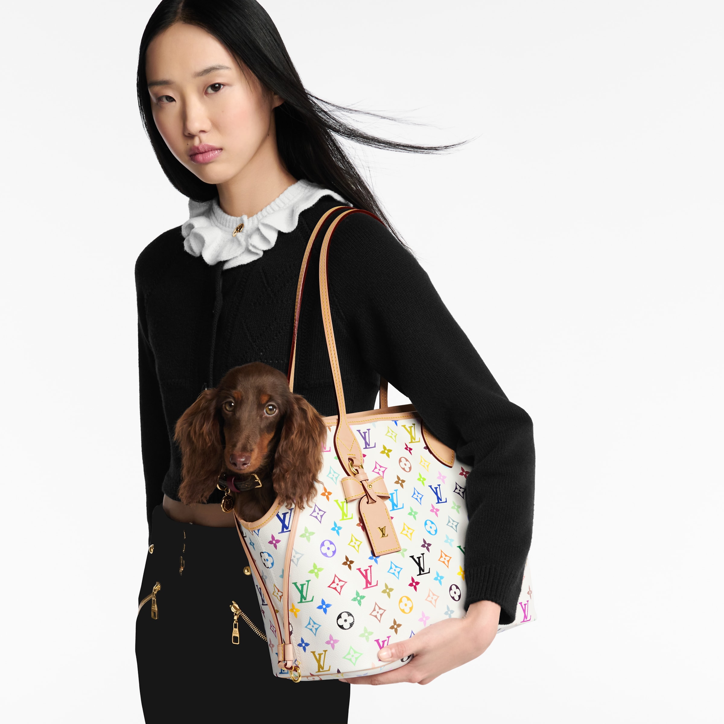 Louis Vuitton Accessory LOUIS VUITTON LV x TM Neverwoof Other Monogram Canvas #379229 View 2 | Nigo Office