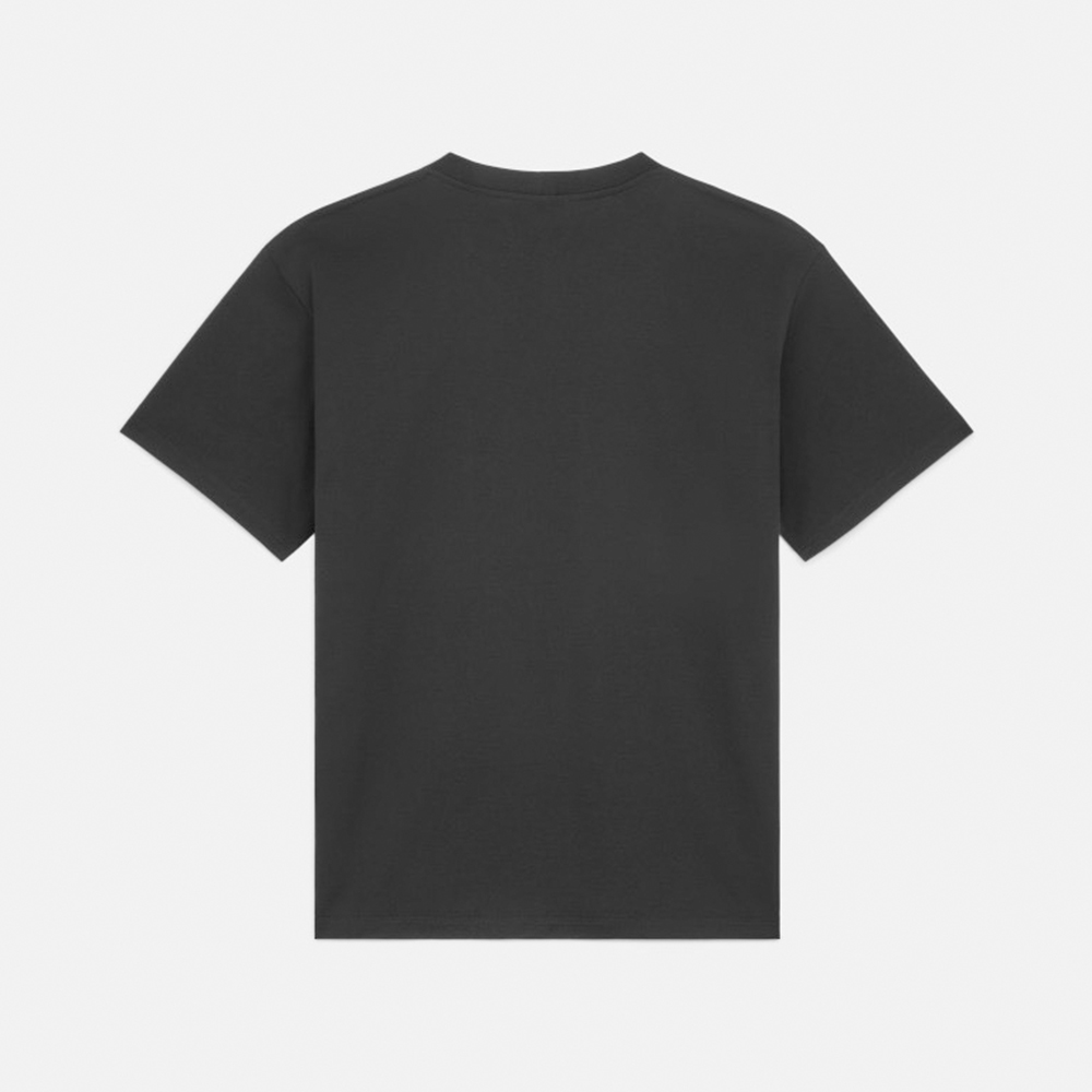 CELINE T-SHIRT IN COTTON JERSEY #384494
