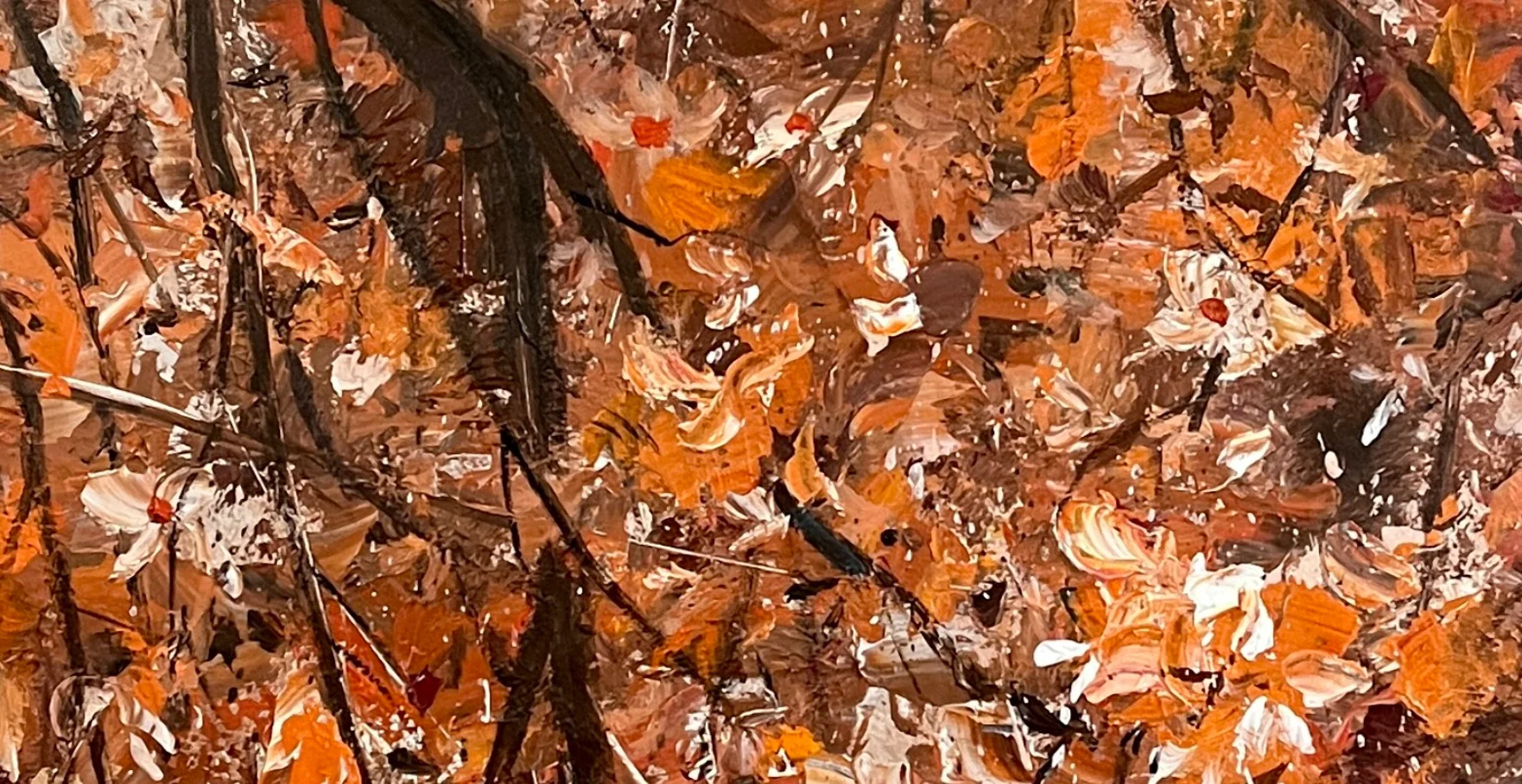 Ripples of Spacetime