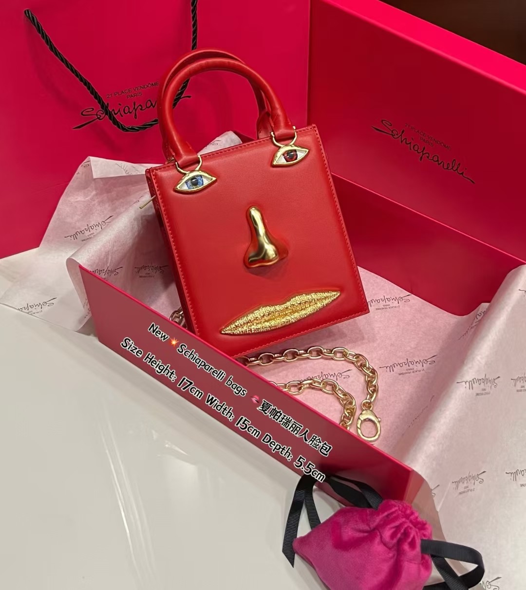[TOP] Schiaparelli Anatomy Face Bag 17x15x5.5cm - Red - 711 Luxury