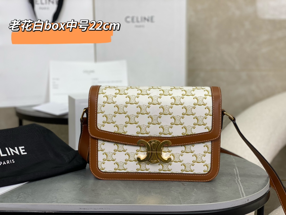 [TOP] CELINE Triomphe Bag Box Leather 22.5x16.5x7.5cm - White - 711 Luxury