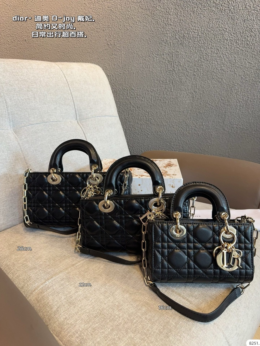 Dior Lady D-joy Quilted Leather Handbag with Detachable Chain Strap (Replica)