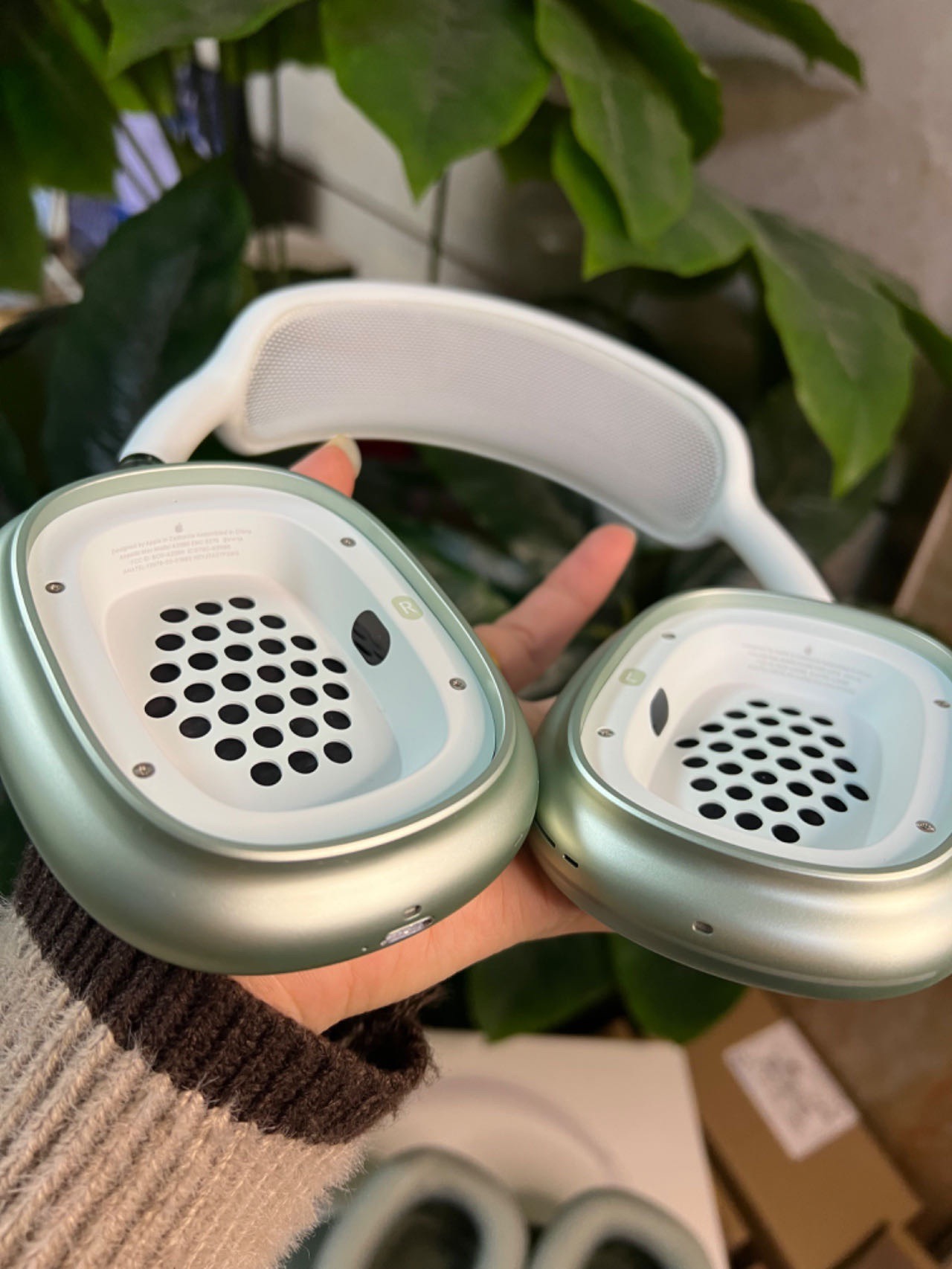 Max V3 (1st Generation) 5 Colour Collection - Lightning