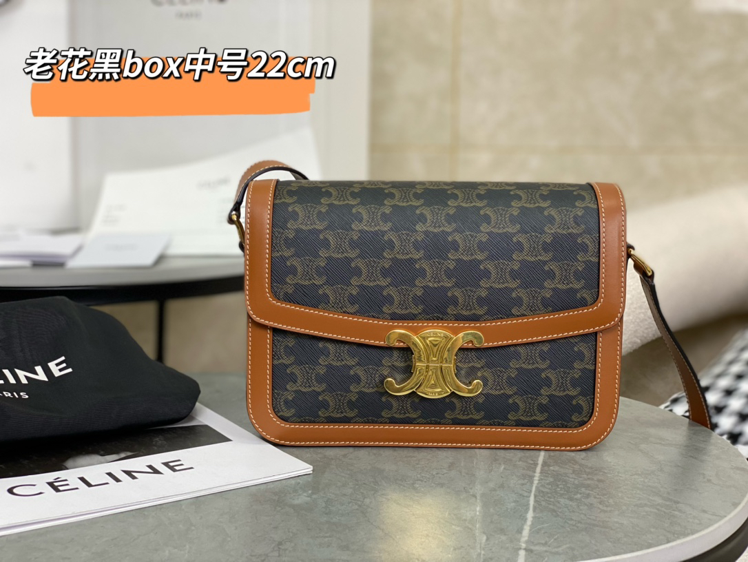 [TOP] CELINE Triomphe Bag Box Leather 22.5x16.5x7.5cm - Black - 711 Luxury