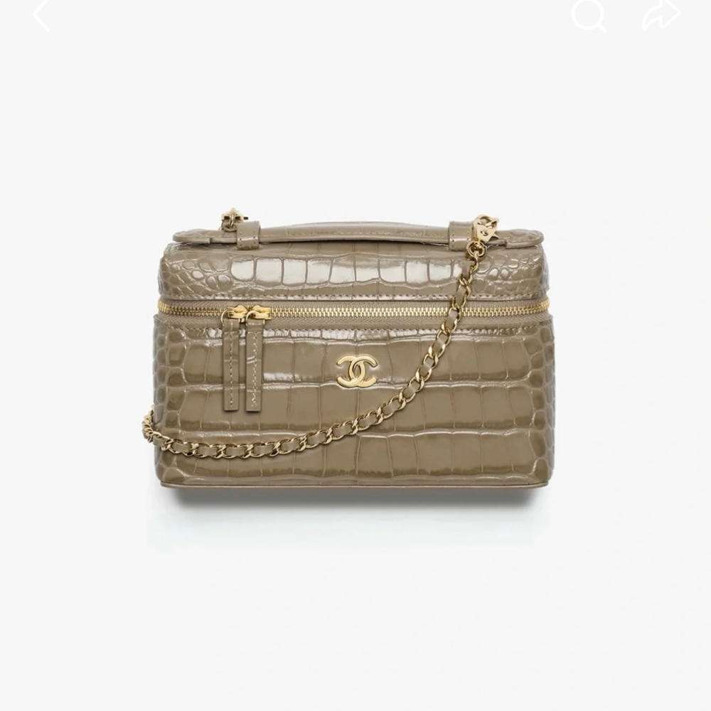 Chanel Bag Chanel Crocodile Pattern Lunch Box Bag #387664 | Nigo Office