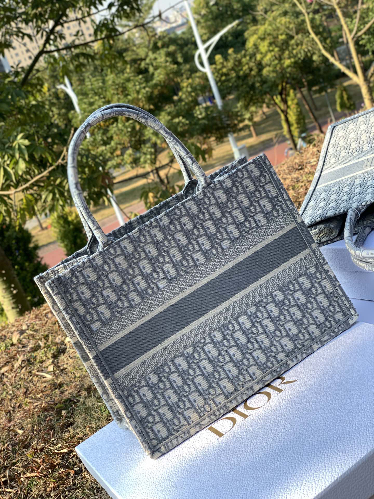 [TOP] Christian Dior Book Tote Bag 36.5x28x17.5cm - Gray