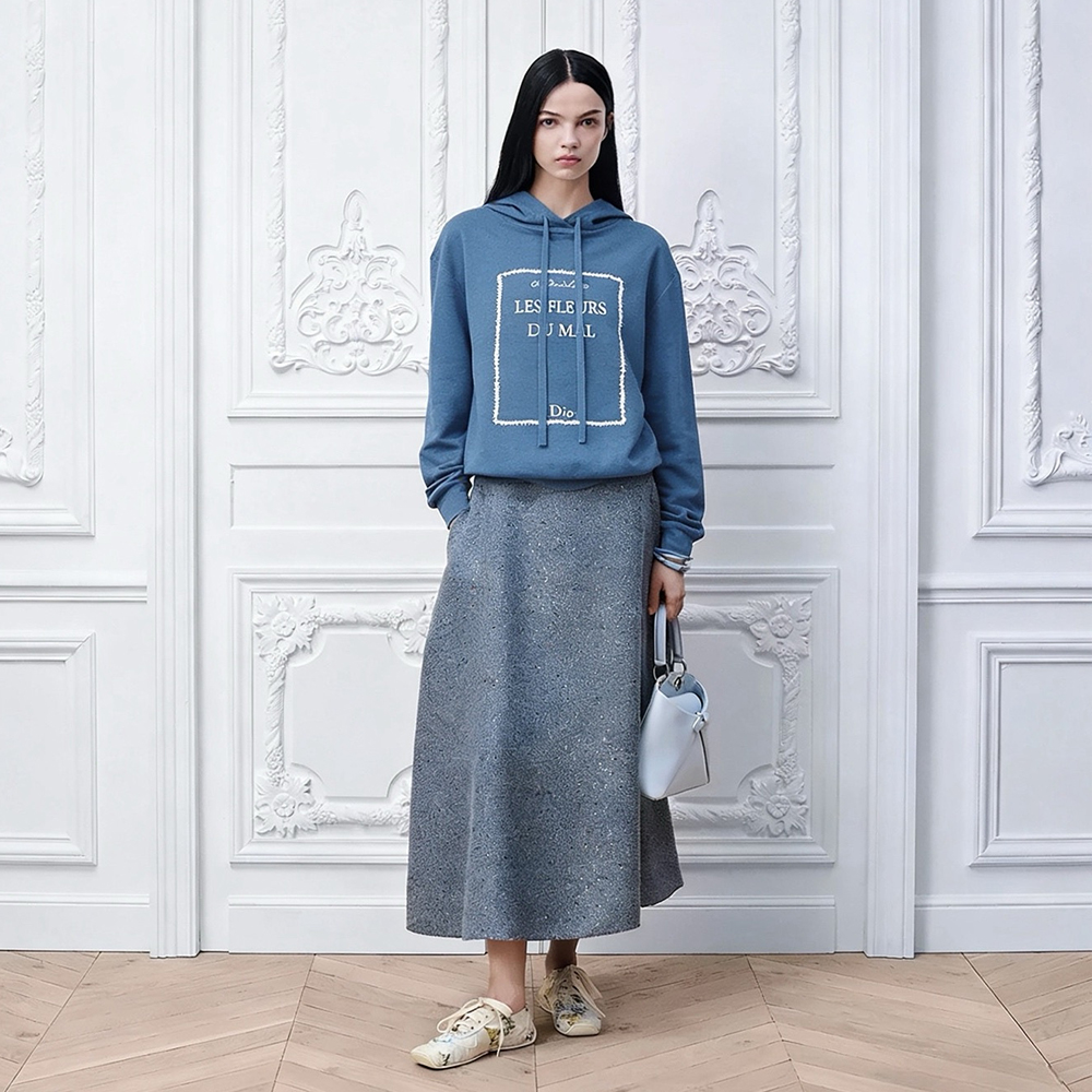 DIOR Book Cover Hooded Sweatshirt Blue and White Cashmere-Silk Blend #384326