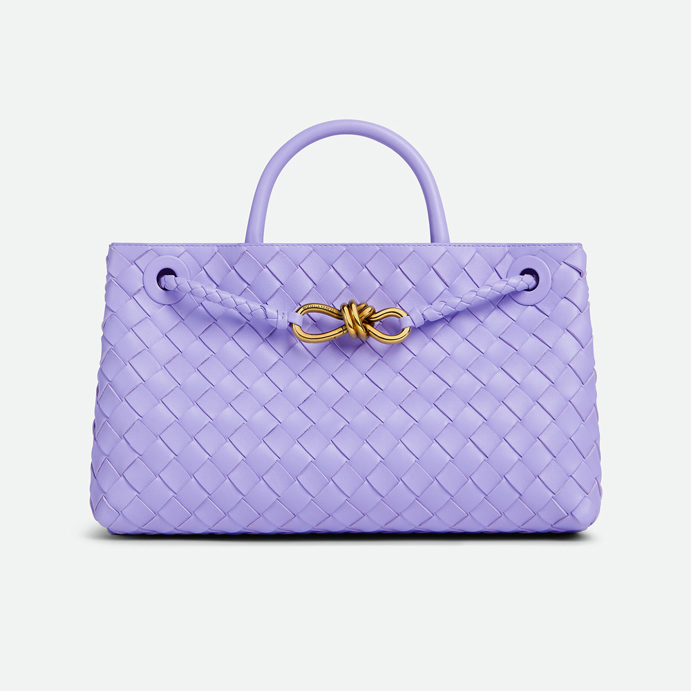 Bottega Veneta Bag Bottega Veneta East-West Andiamo Handbags #395519 | Nigo Office