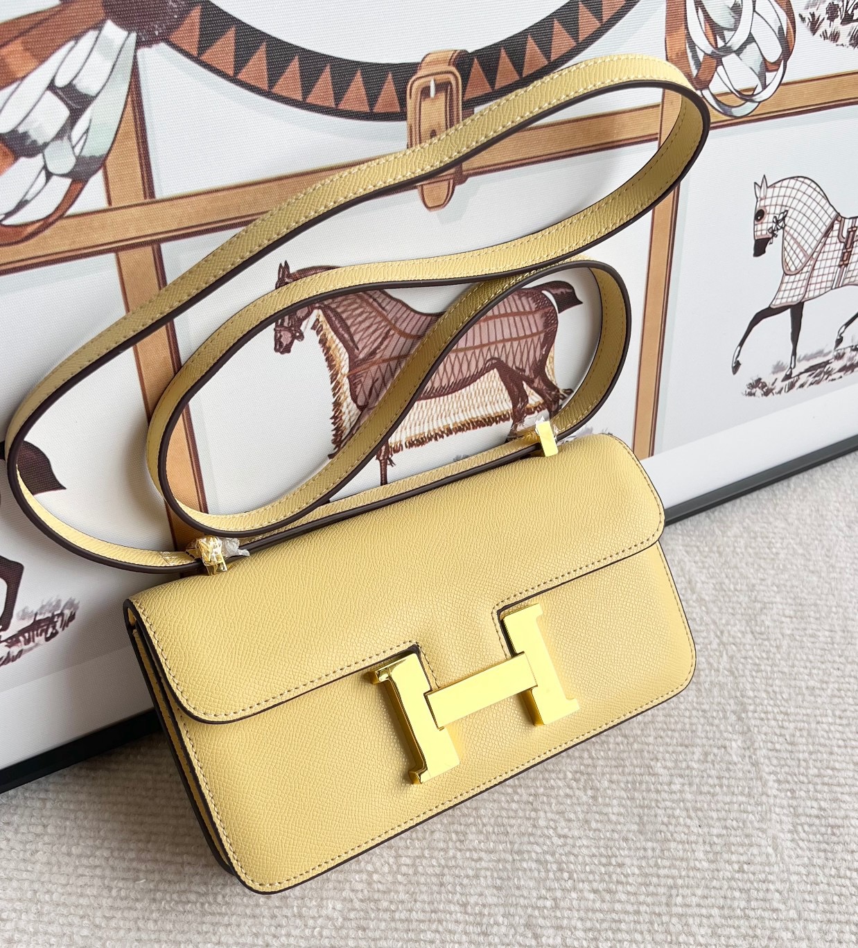Hermes Constance Elan