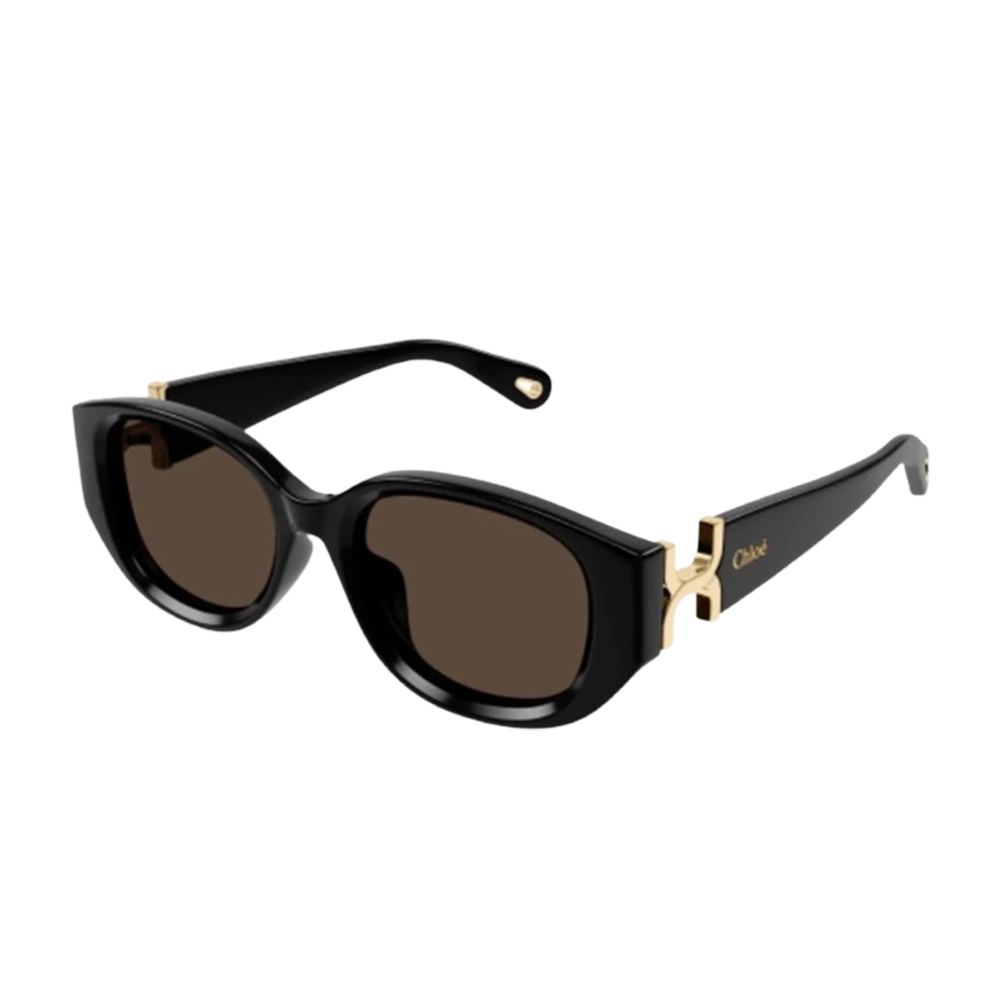 Chloe Accessories - 711 Luxury