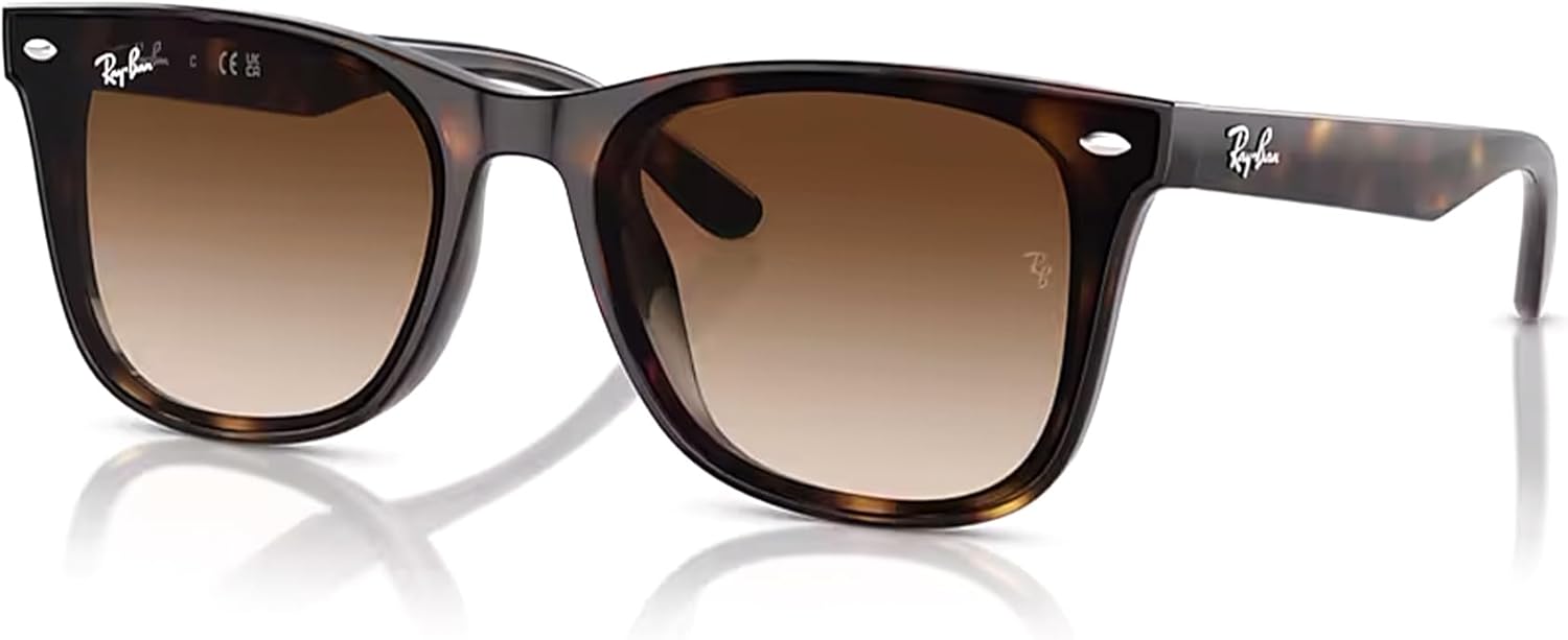 Ray-Ban RB4420 Square Sunglasses for Men for Women + BUNDLE with ACCESSORY EYEWEAR KIT