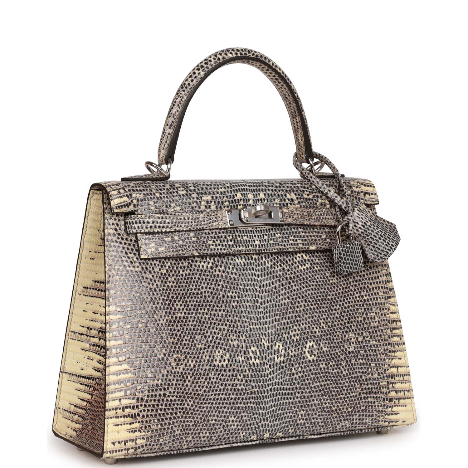Hermes Kelly Sellier 25 Ombre Varanus Salvator Lizard Palladium Hardware