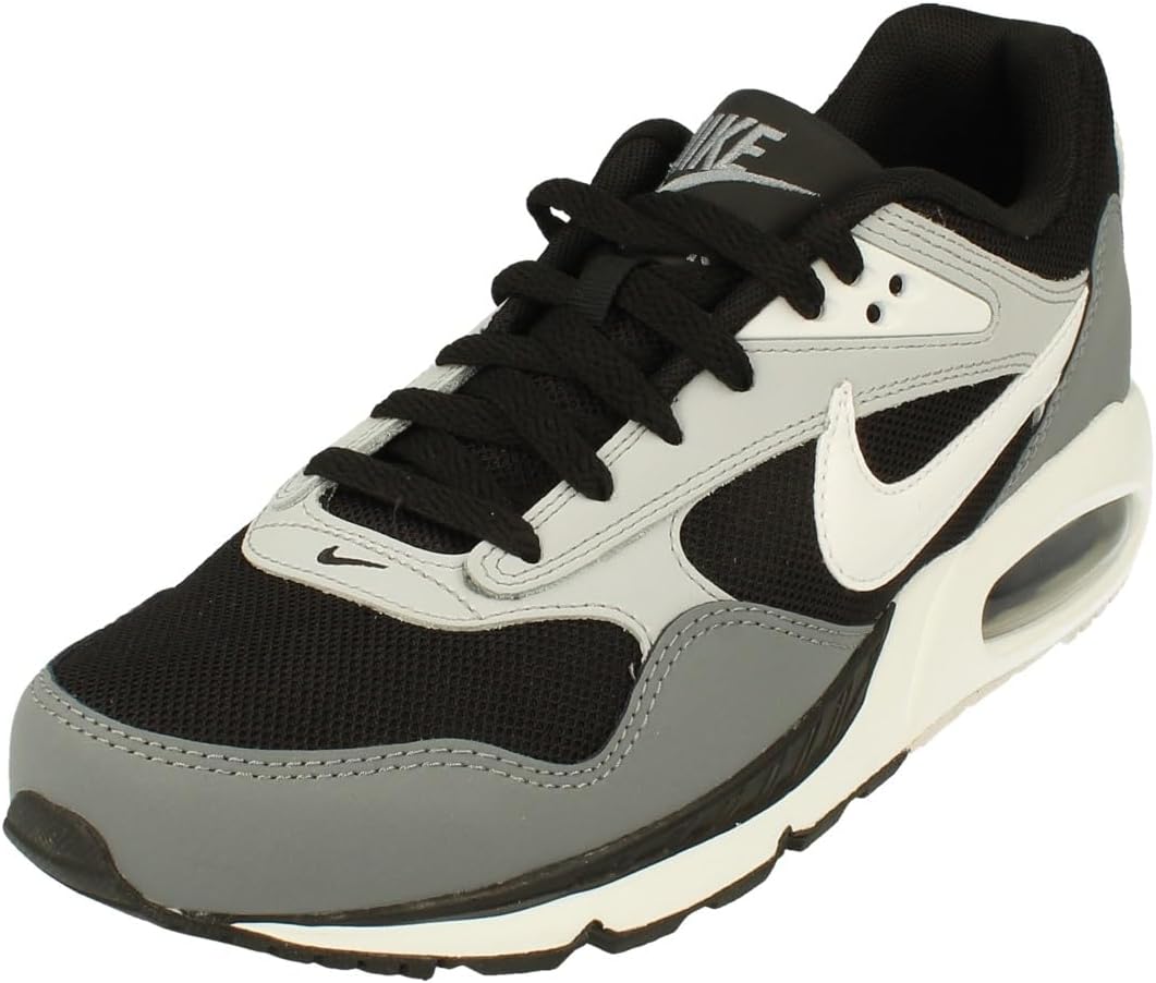 Nike Men's Flex Control TR3 Sneaker